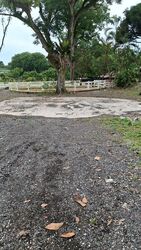 Lorong K Telok Kurau (D15), Terrace #501377561
